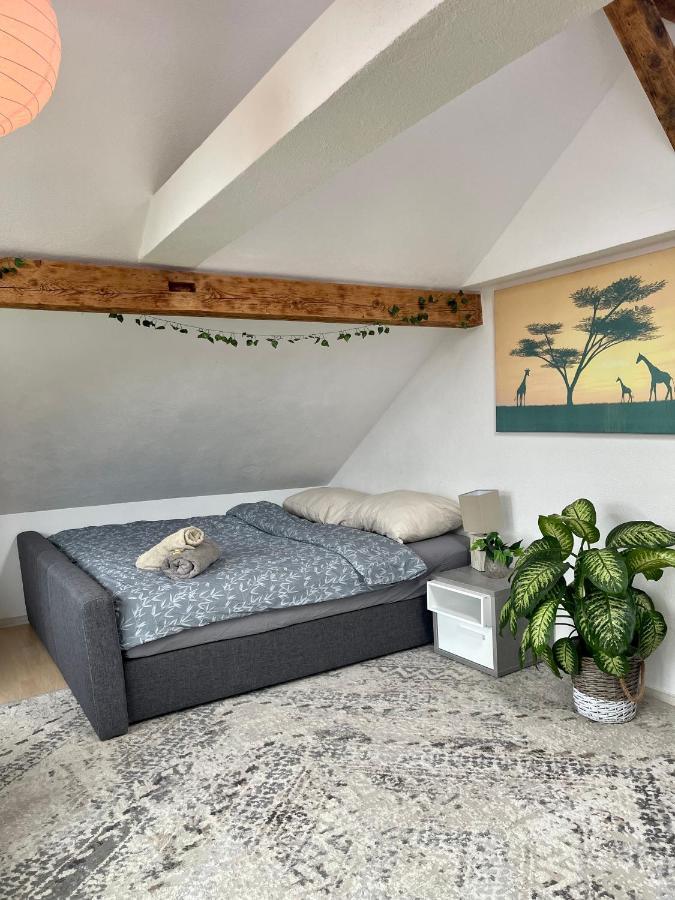 Sevelen Old Farmhouse Loft Near Vaduz מראה חיצוני תמונה