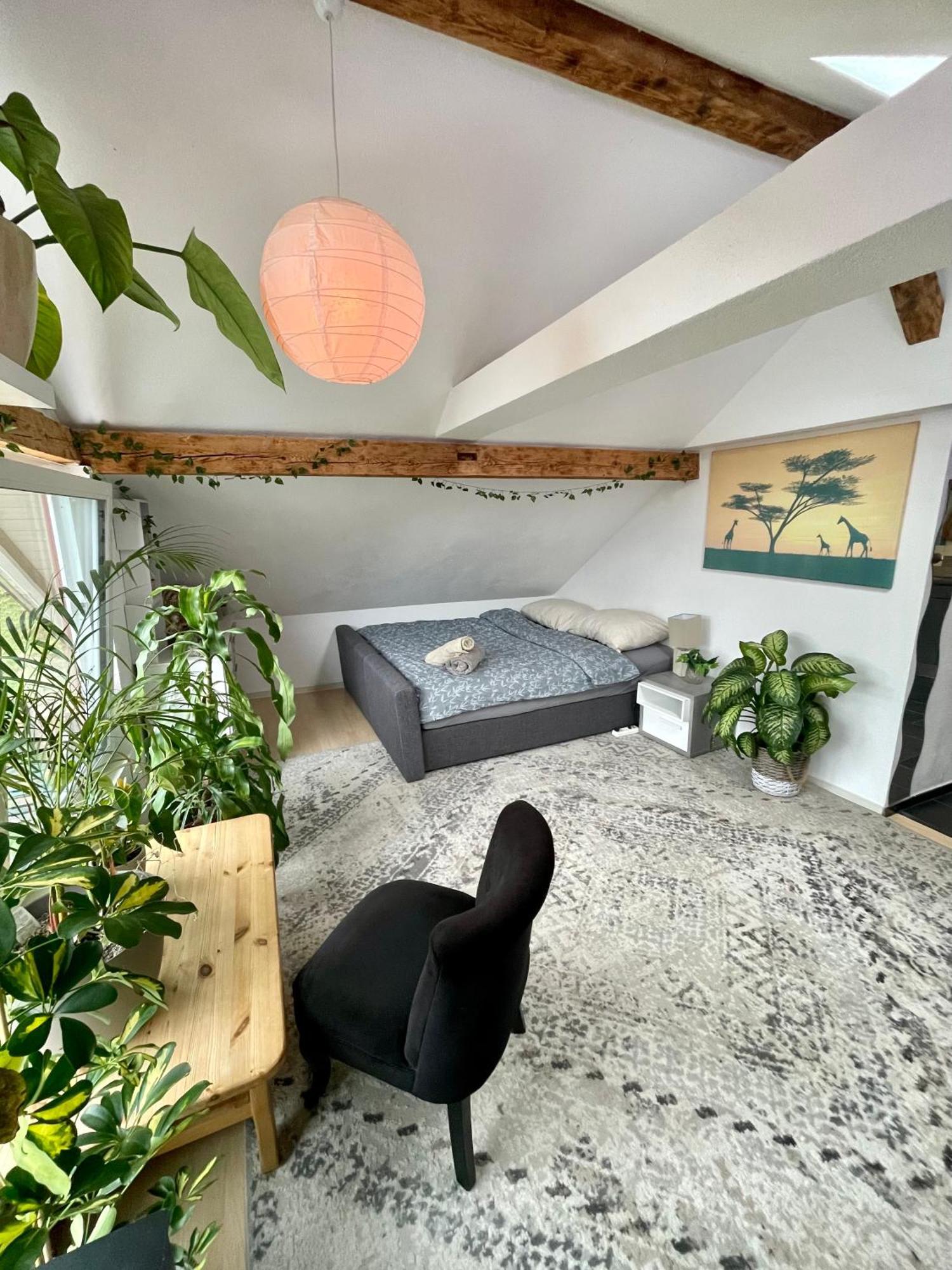 Sevelen Old Farmhouse Loft Near Vaduz מראה חיצוני תמונה